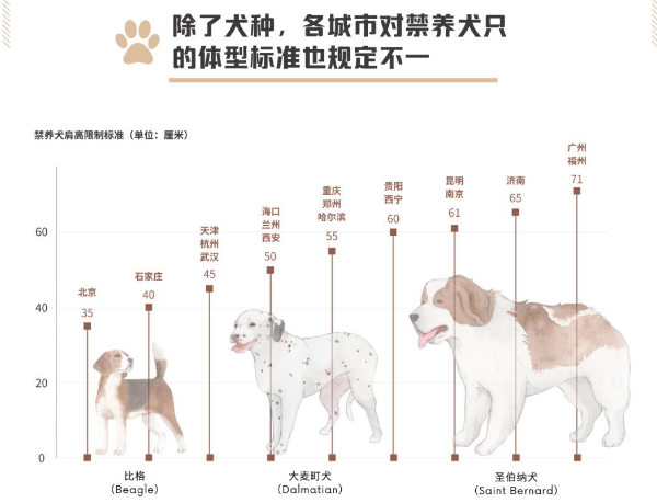 528部法，5119万只犬，管住了吗？