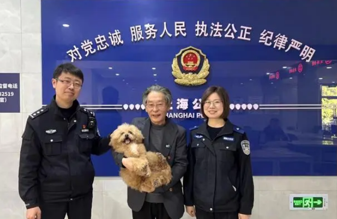 狗狗走失，民警通过宠物芯片找到主人