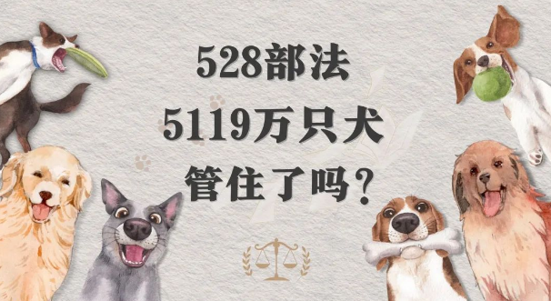 528部法，5119万只犬，管住了吗？