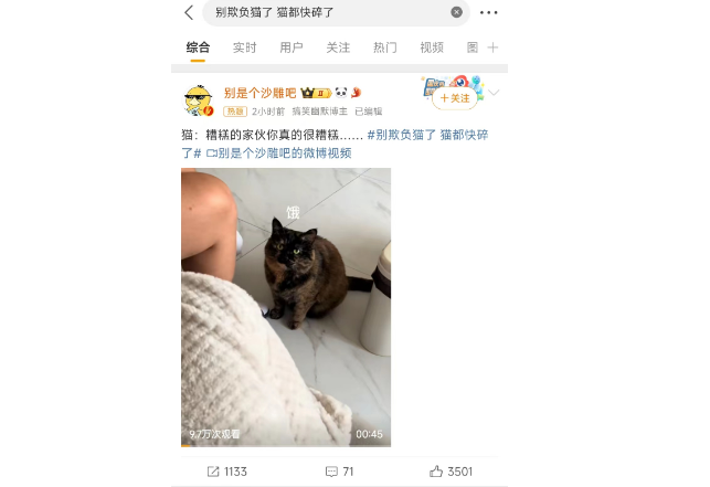 猫：别欺负猫了 猫都快碎了