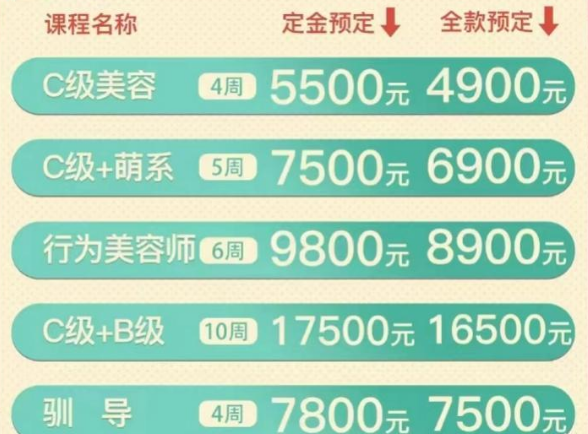 宠物美容培训市场背后:培训课程速成,授证部门未统一 宠物美容培训市场背后:培训课程速成,授证部门未统一