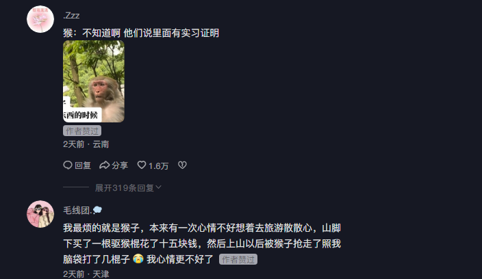 偷感很重的猴子，不得不防啊