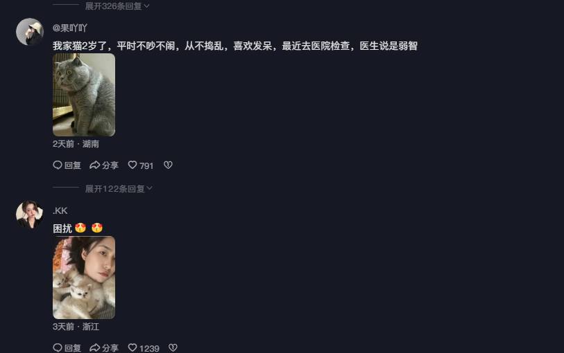 只想贴贴主人的小猫火了，谁不稀罕粘人的小可爱呢