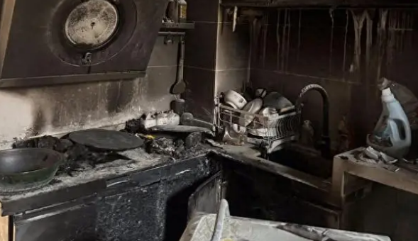 四川最牛的猫咪，把家给炸了，成功把自己身价提升到了10万！