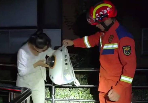 猫咪被困屋顶，主人报警求助
