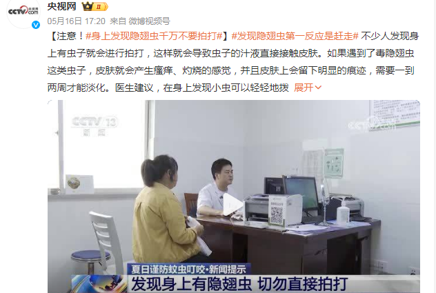 身上发现隐翅虫，千万不要拍打！