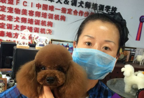 宠物美容师这个职业，到底值不值得干？