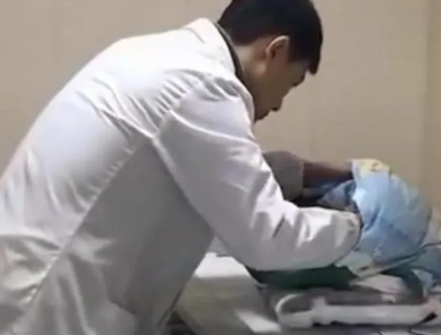 小猫被残酷对待，失去双眼和头皮，施虐者太过心狠