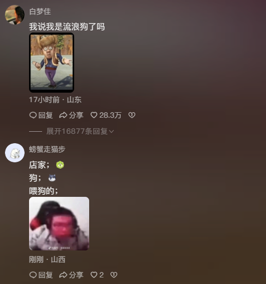 网友好心投喂流浪狗，竟意外发现狗狗是烧烤店“老板”！