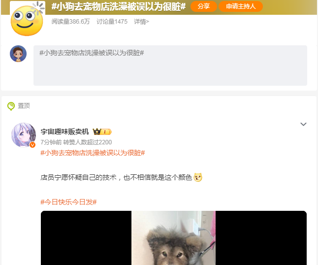 小狗去宠物店洗澡被误以为很脏，没想到就是这个色