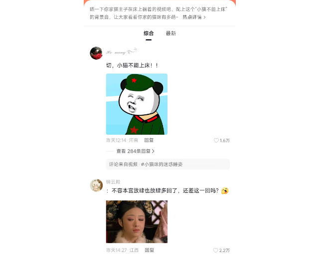 小猫不能上床？铲屎官：NO！