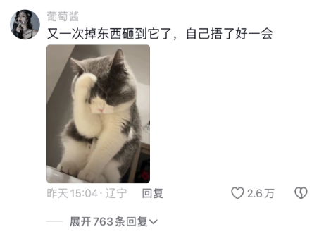 谁家的小猫跟树懒一样，可爱到爆！