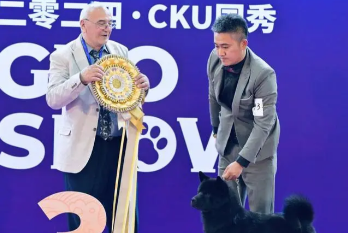 中国唐狗获CKU单犬种冠军