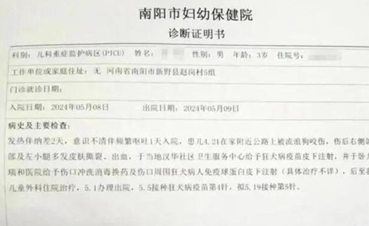 被狗咬伤18天后离世!生命的消逝与责任的呼唤