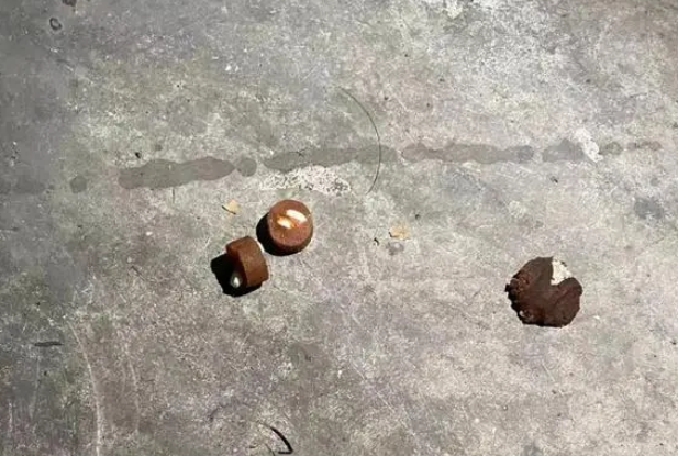 沪一小区发现不明物质，多只宠物狗死亡！