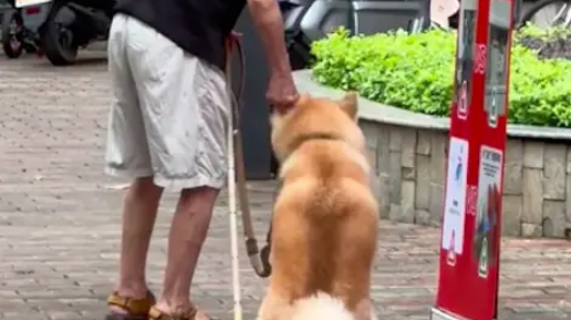 下雨了爷爷要带狗狗回家，它倔强得坐在原地不愿走：我还要玩