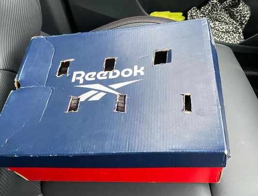 男子听到垃圾桶内传来微弱的求救声，靠近一看...