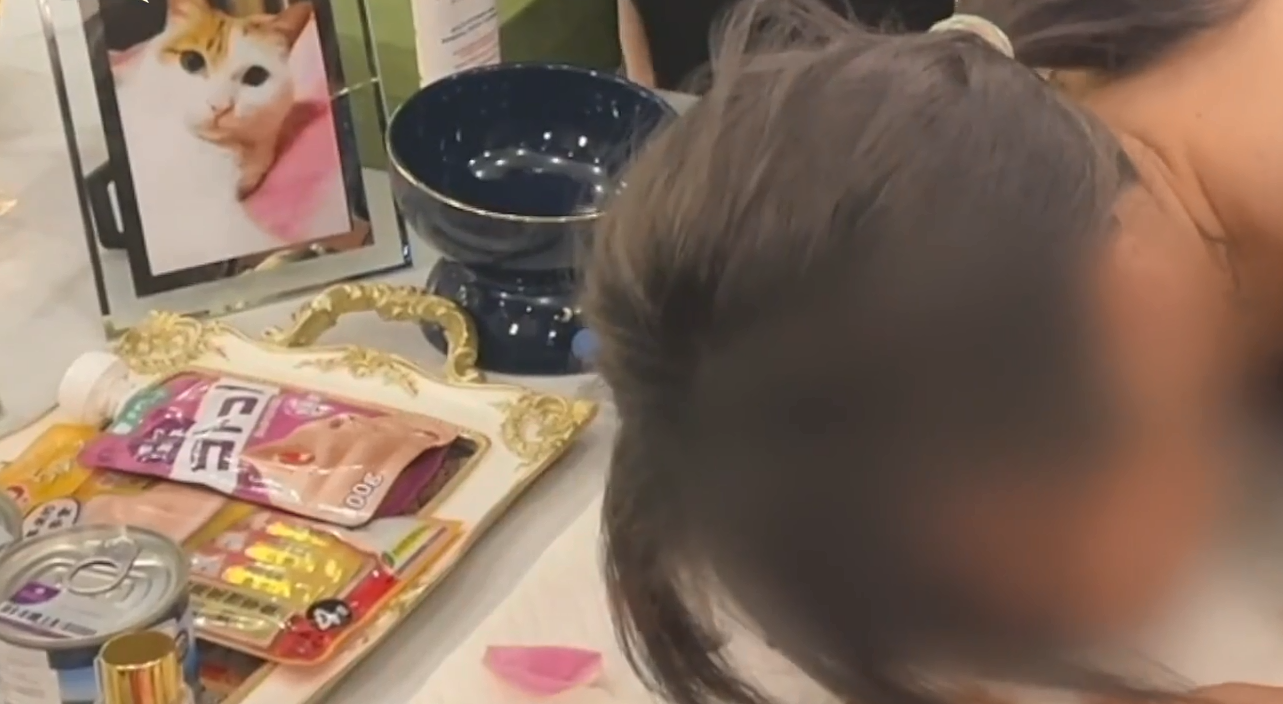 猫咪去世后她花上万元找宠物沟通师 结果扎心了