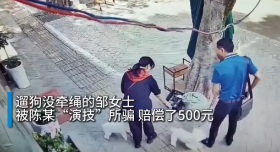 故意踢狗后假装被咬索赔狗主人