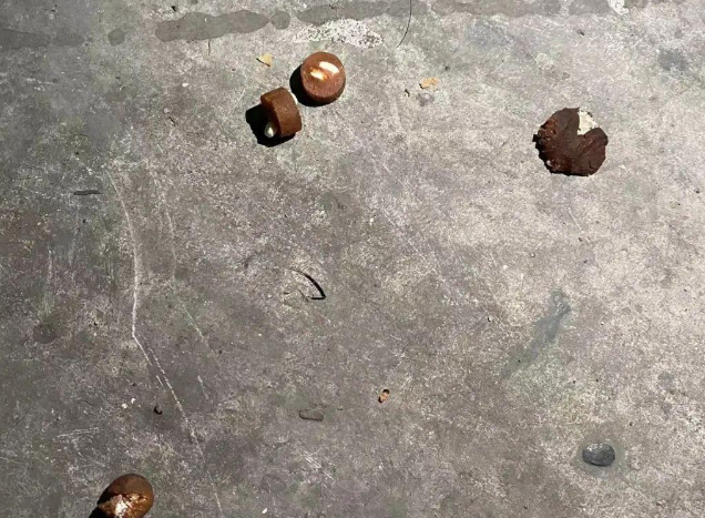 小区内数只宠物狗接连死亡？疑似吃了带“馅儿”的香肠