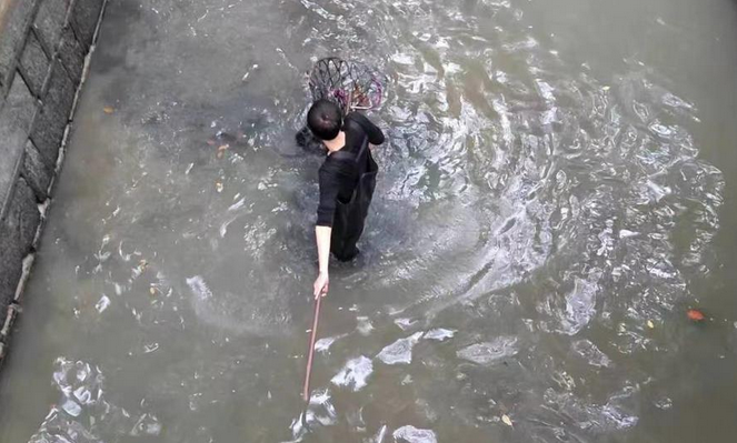 为了救一只流浪小狗，这所大学放干了“护校河”的水