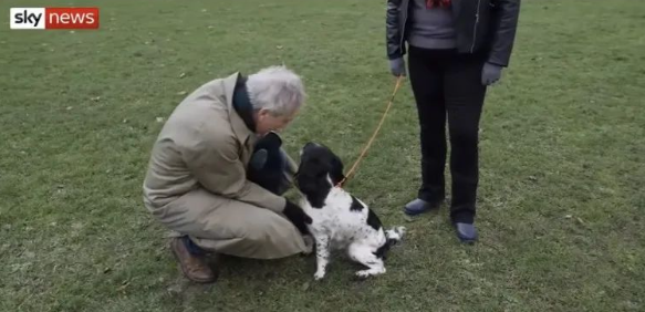 果然被猜中了!疫情期间购买的幼犬,被大量遗弃... 果然被猜中了!疫情期间购买的幼犬,被大量遗弃...