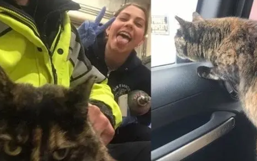 消防猫遭投诉被迫离开“工作”了5年的消防局,众消防员含泪送别 消防猫遭投诉被迫离开“工作”了5年的消防局,众消防员含泪送别