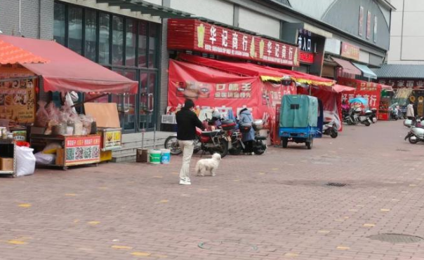 “宠”爱有方，文明养犬“不掉链”
