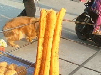 金毛路过早餐摊时，看见油条就走不动路了！狗狗：给我买一根嘛！