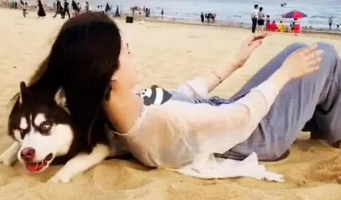美女主人将二哈当枕头,二哈一秒变影帝:快起开,我喊人了啊! 美女主人将二哈当枕头,二哈一秒变影帝:快起开,我喊人了啊!