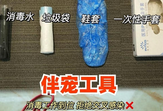 春节期间宠物上门喂养服务订单火爆，业内人士提醒：入行需慎重