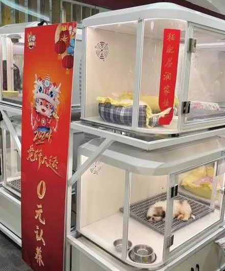“宠物经济”热，你被“套路”了吗？