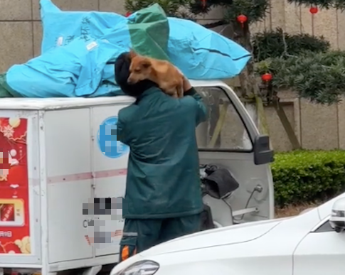 小哥在送快递时,将养的狗狗也一起带在了车上,双向奔赴好幸福! 小哥在送快递时,将养的狗狗也一起带在了车上,双向奔赴好幸福!
