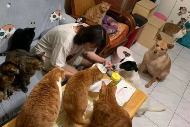 小宝宝突然大哭，三个狗保姆不仅比亲妈还急，还跟着哭了起来...