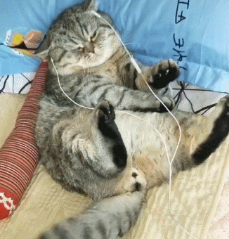 会享受的猫,听着小曲睡着觉,尾巴还跟着音乐节奏舞动 会享受的猫,听着小曲睡着觉,尾巴还跟着音乐节奏舞动