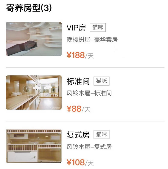 假期宠物寄养服务火热，部分宠物店需提前半月预订“床位”