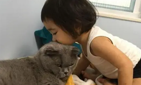 猫咪被小主人抱着“蹂躏”,一脸生无可恋:做猫好难啊 猫咪被小主人抱着“蹂躏”,一脸生无可恋:做猫好难啊