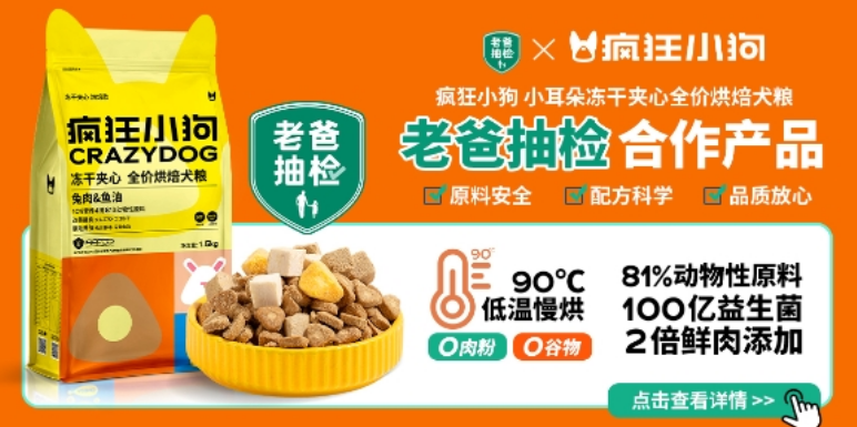 春节“它经济”热潮凸显 疯狂小狗品质受市场追捧 春节“它经济”热潮凸显 疯狂小狗品质受市场追捧