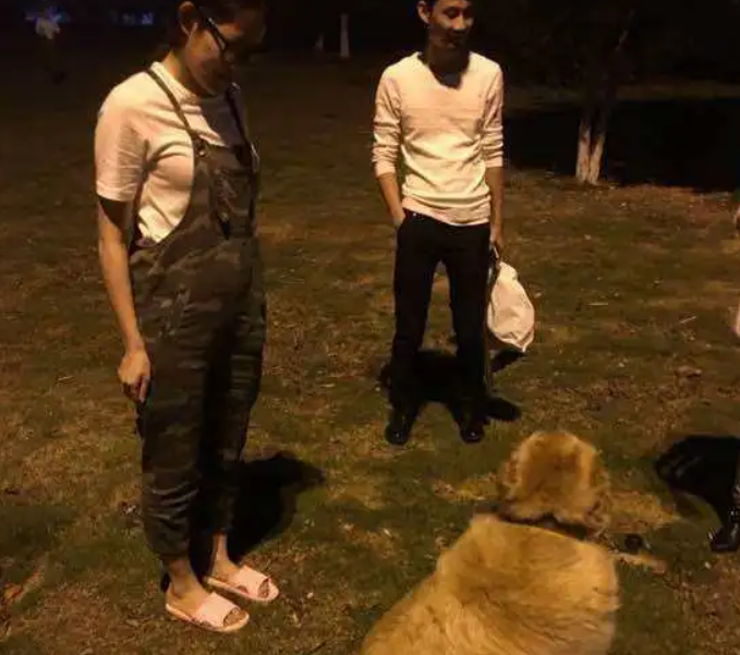 比熊被寄养到姥姥家,在金毛被喂成金猪后,比熊已经不想回家了! 比熊被寄养到姥姥家,在金毛被喂成金猪后,比熊已经不想回家了!