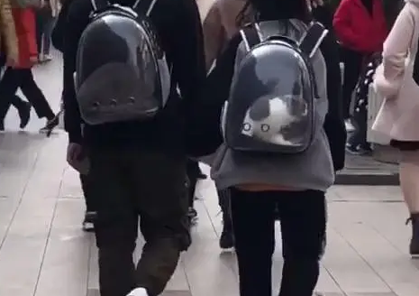 大街上遇到一对情侣，回头一看瞬间酸了：不仅秀恩爱，还秀猫