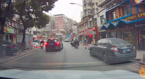 狗狗未栓绳横穿马路被撞，女主人第一时间没看狗，而是去追车赔偿