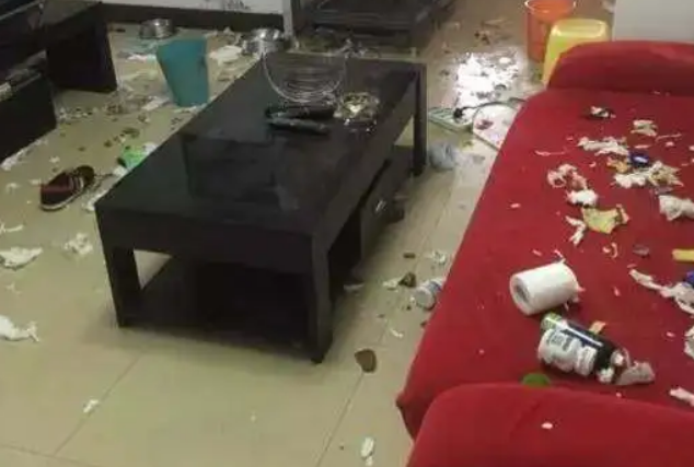 二哈趁主人不在家溜到了小主人被窝,被发现后小眼神简直太绝了! 二哈趁主人不在家溜到了小主人被窝,被发现后小眼神简直太绝了!