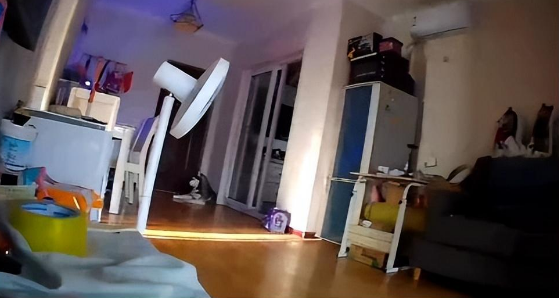 女子把哈士奇独自留在家3天，查看监控后，狗子的举动出乎意料