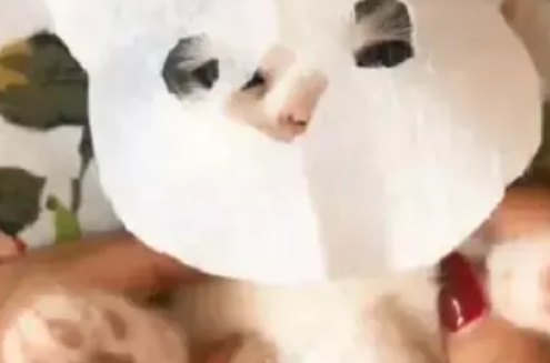 女主人给小奶猫敷面膜,它全程乖乖配合的样子,把人萌翻了 女主人给小奶猫敷面膜,它全程乖乖配合的样子,把人萌翻了