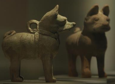 8000年人狗“情”：汉晋爱犬成风 唐宋时宠物犬出现