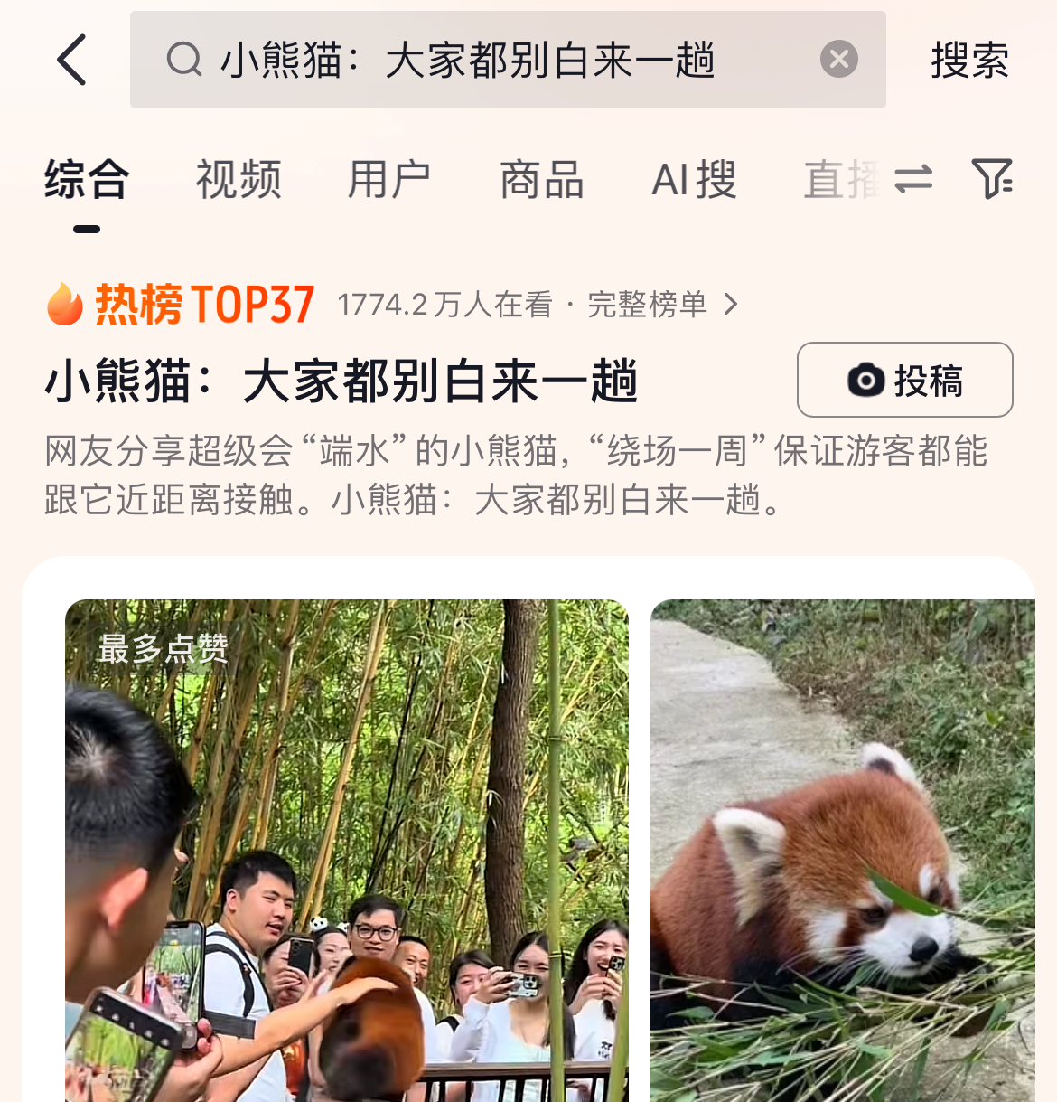 超会“端水”的小熊猫：大家都别白来一趟