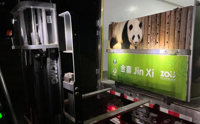 出发！大熊猫“金喜”“茱萸”启程赴西班牙
