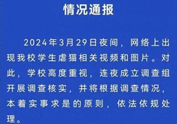 江西虐猫大学生被开除学籍！还存在传播淫秽视频行为