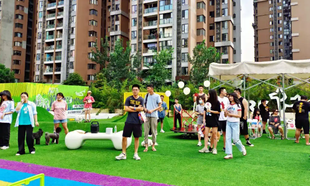 这届人类是懂宠的！封面宠物联“萌”爱心总数狂飙20万