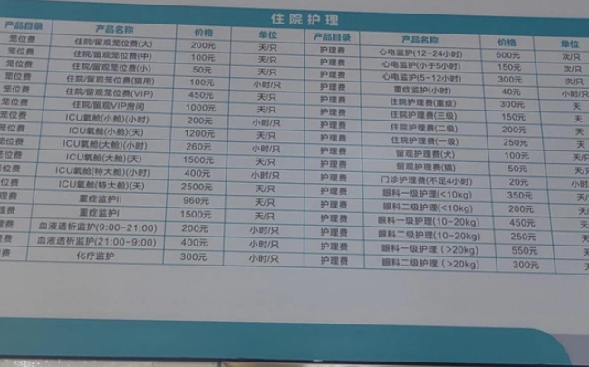 小宠物大赛道，宠物经济崛起